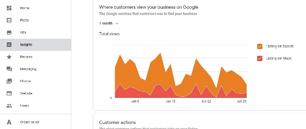 Google my business insights